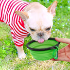 Portable Pet Food Bowl  Durable TPR Bowl  Cat and Dog Food Pet Silicone Collapsible Bowl Portable Travel Outdoor Water Food Bowl