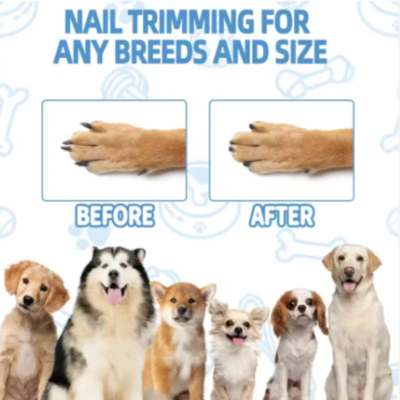 Wooden Dog Nail Scratch Board with Hidden Treat Compartment