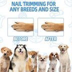 Wooden Dog Nail Scratch Board with Hidden Treat Compartment